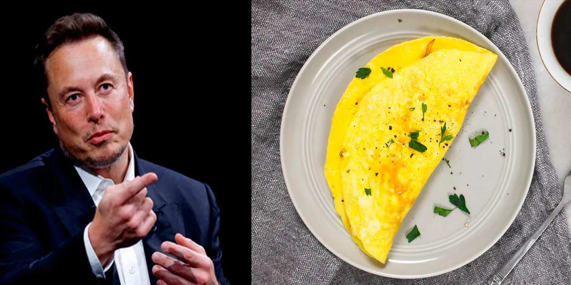  'I won't eat an omelet for a week' - Elon Musk in controversy again