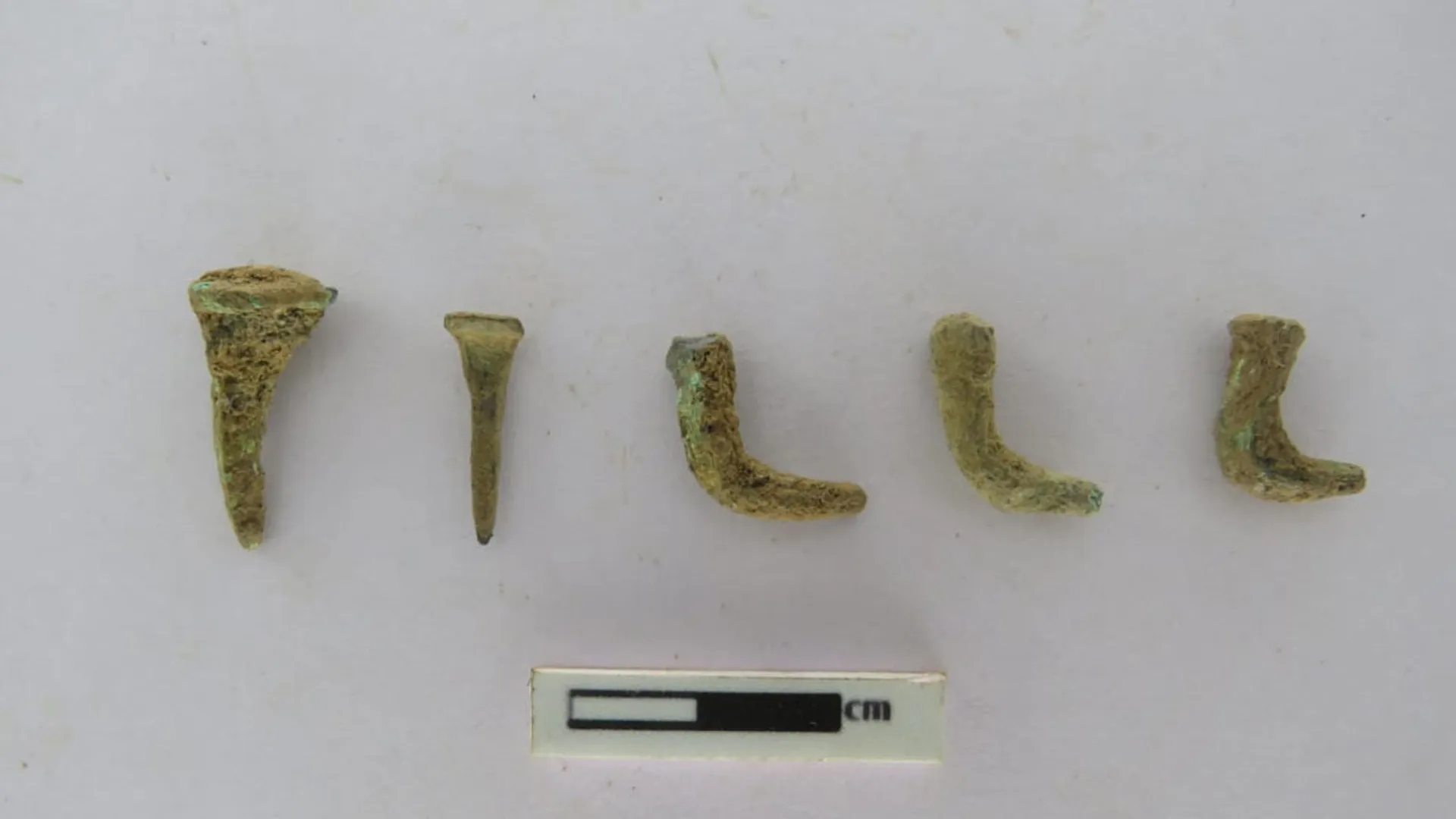 Discovery of copper nails in Porpanaikottai excavation