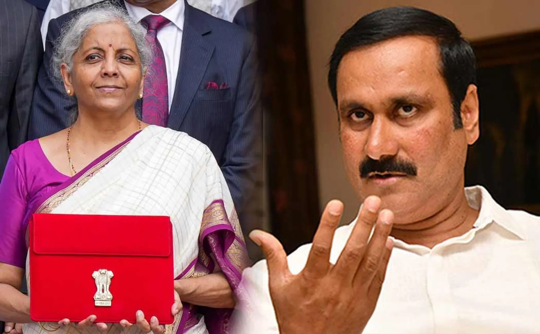 Anbumani  said If  had won 25 constituencies, Tamil Nadu would have been included budget