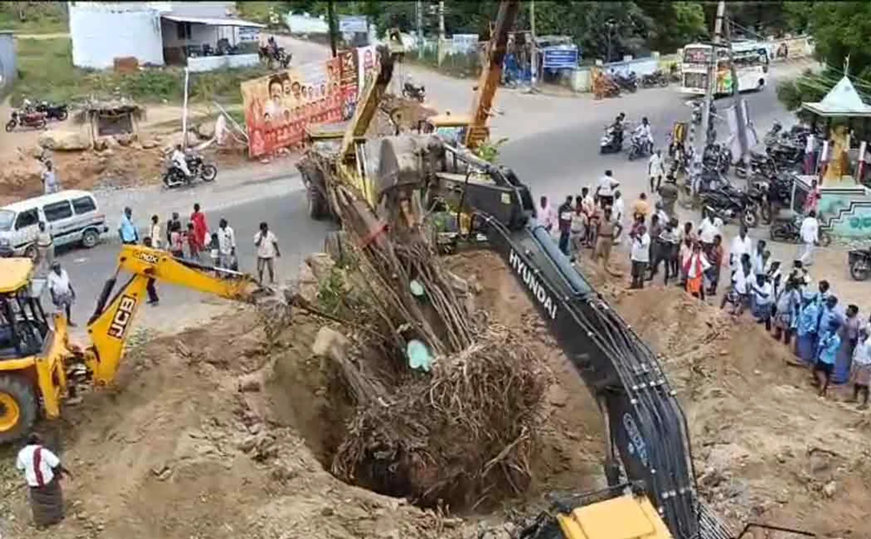 uprooted banyan tree that was to be cut for road widening and planted it elsewhere