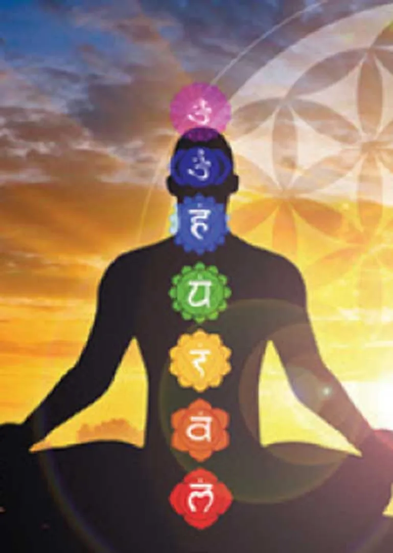 /idhalgal/balajothidam/your-body-your-home-new-vastu-shastra-25