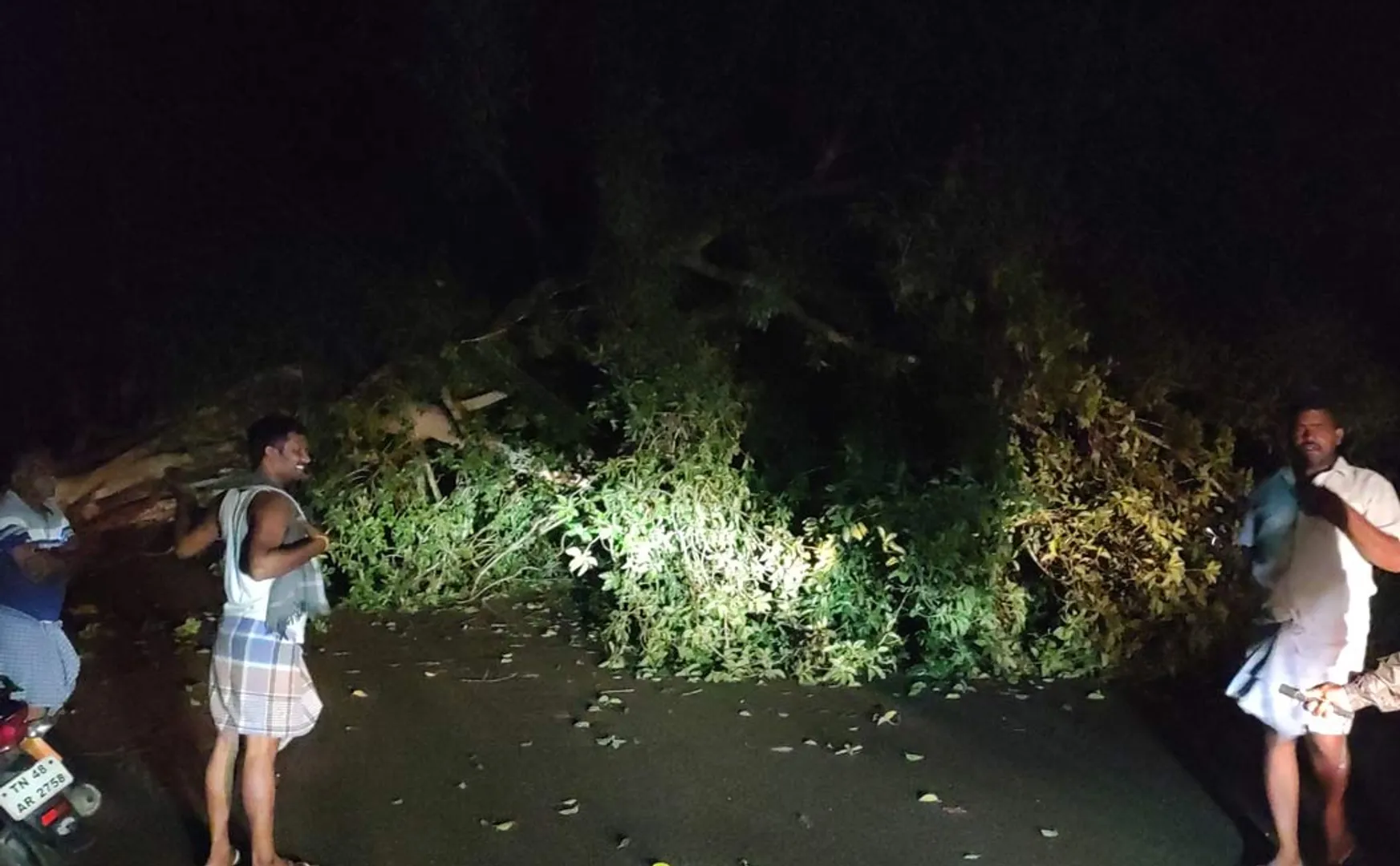 Banyan tree leaning traffic damage!