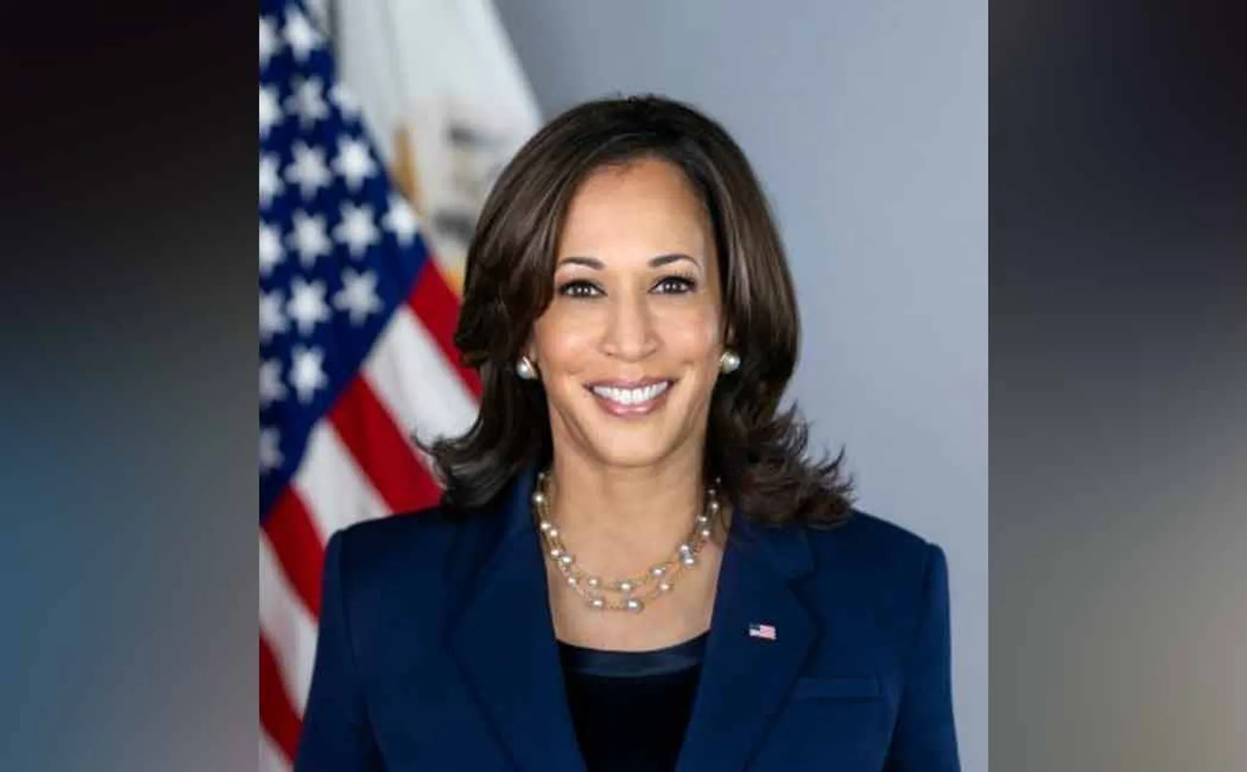 Presidential election; Kamala Harris got enough support
