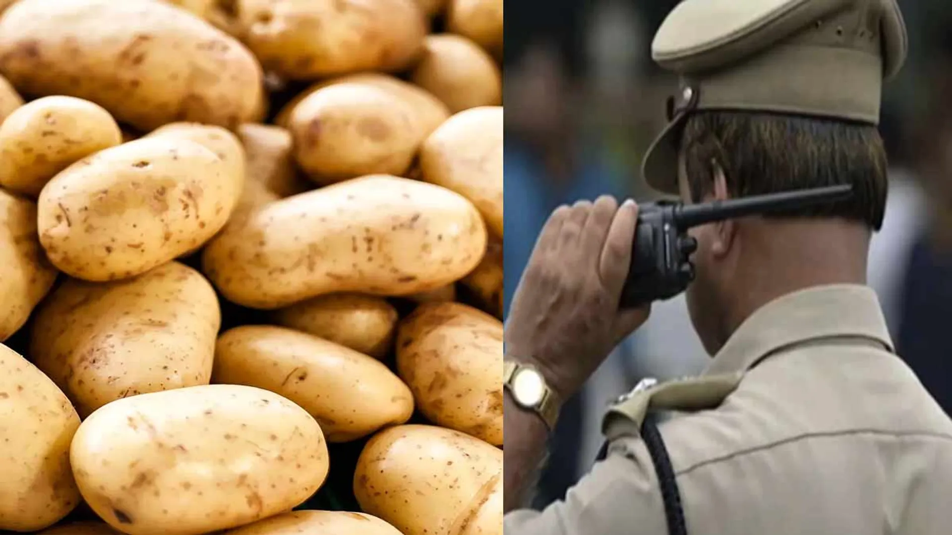 'Potato' - Sub-Inspector Trapped By Code Word