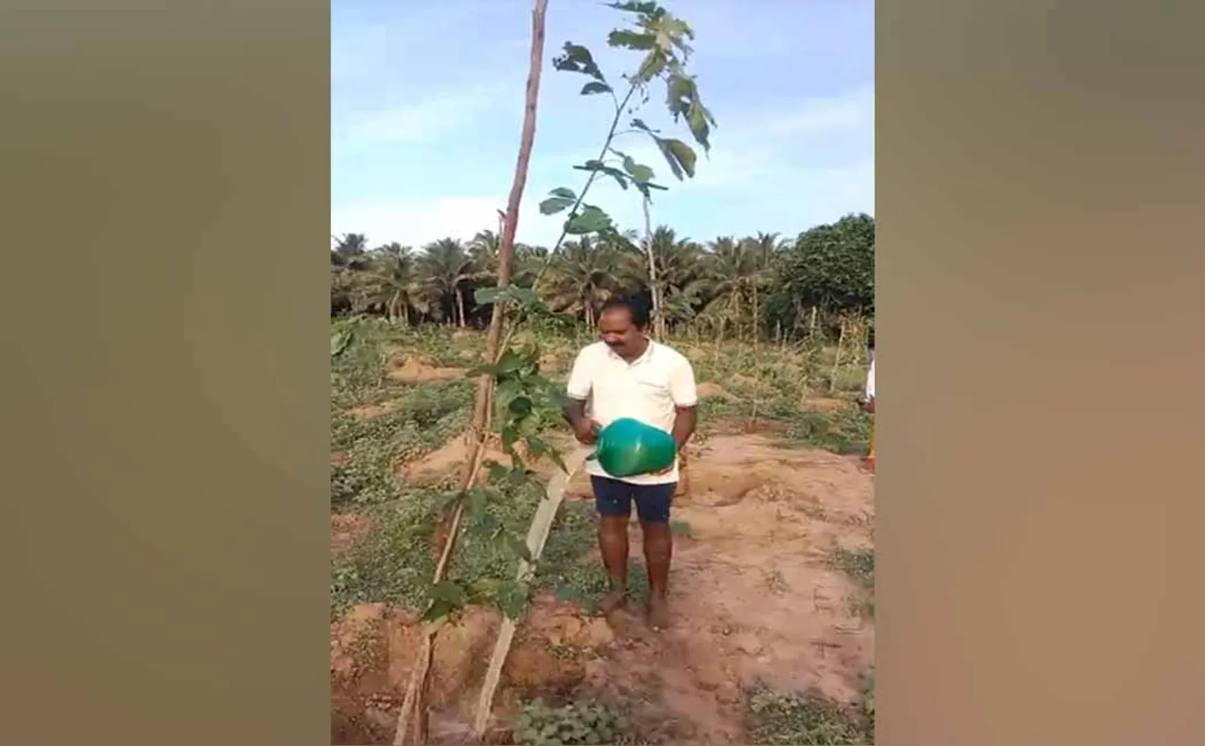 minister poured water on the saplings