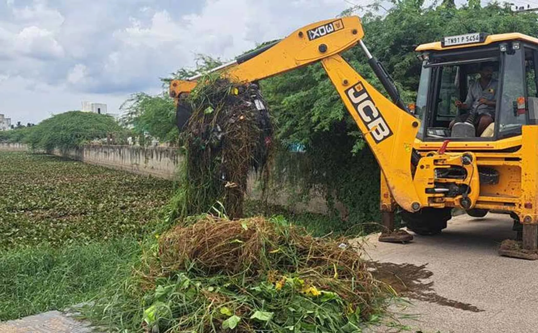 clearing lotus plant in drains is going on in full swing In Chidambaram