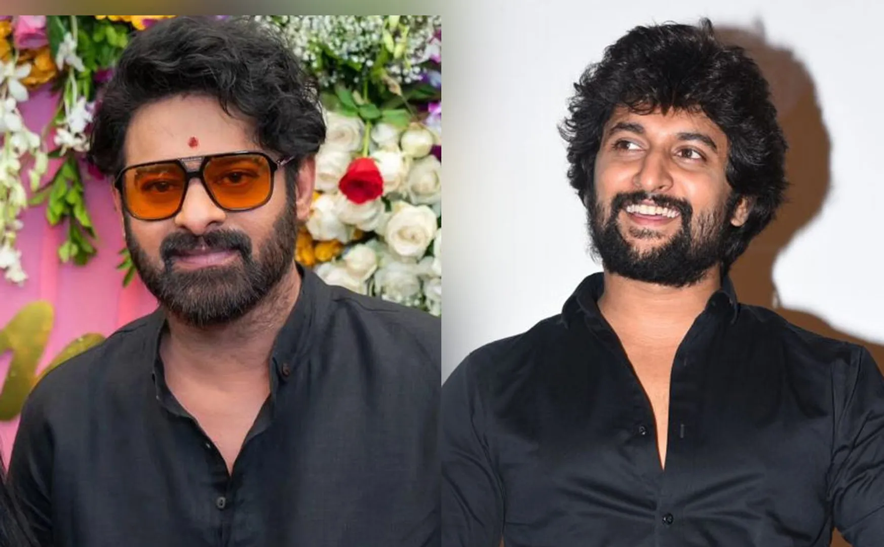 nani about prabhas criticism regards kalki movie 