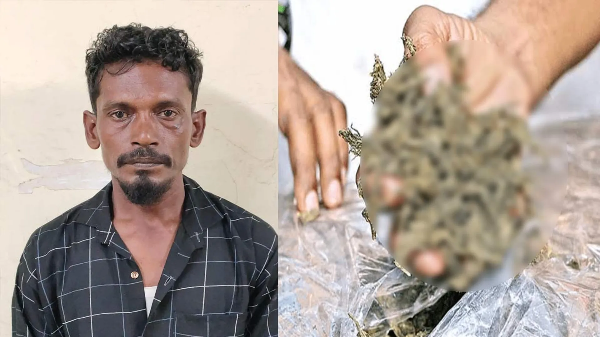 Ganja dealer arrested- Ganja, cell phones seized