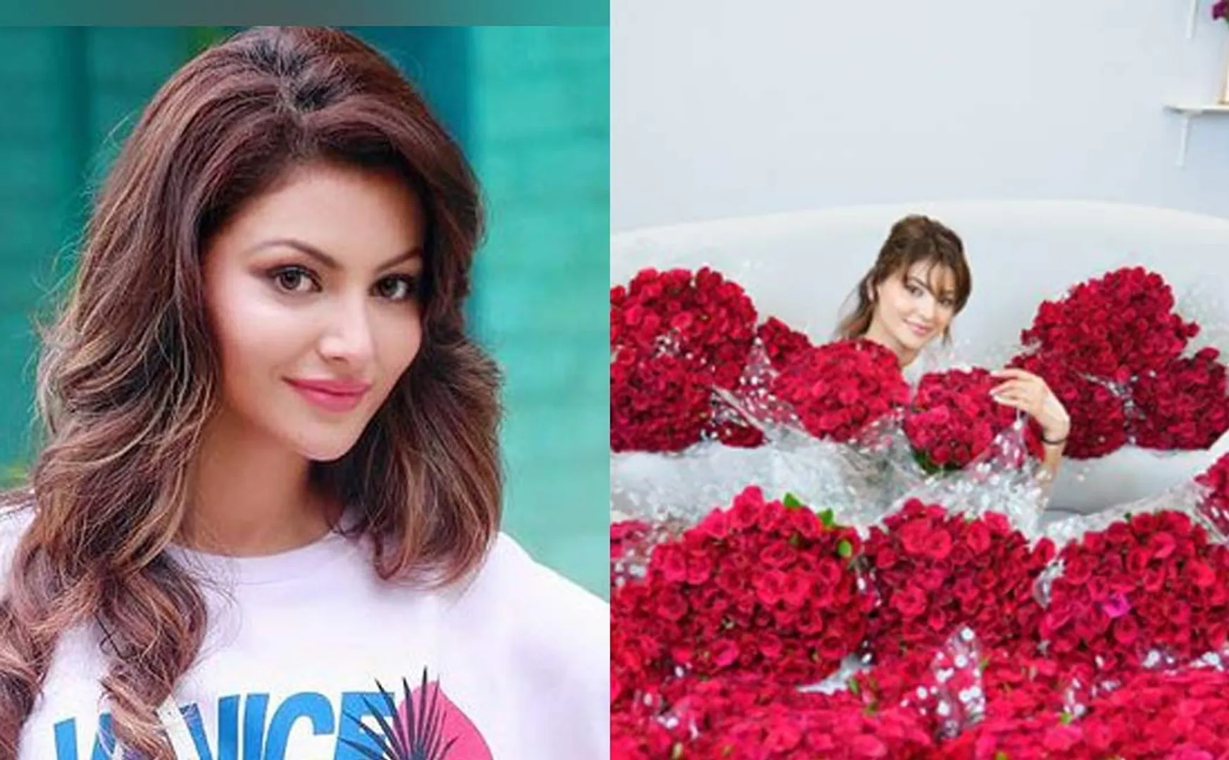 Urvashi Rautela gets rs.1 lakh roses