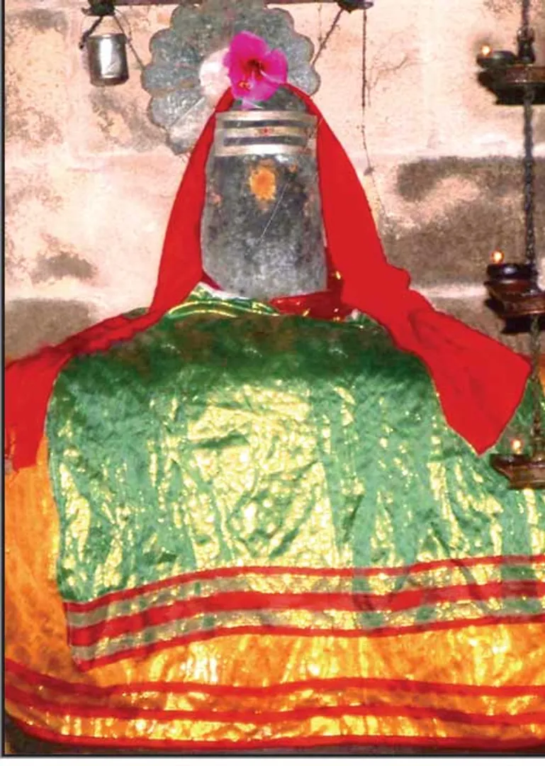 /idhalgal/om/melakadampur-amritkadeswar-which-gives-noble-life-coimbatore-arumugam