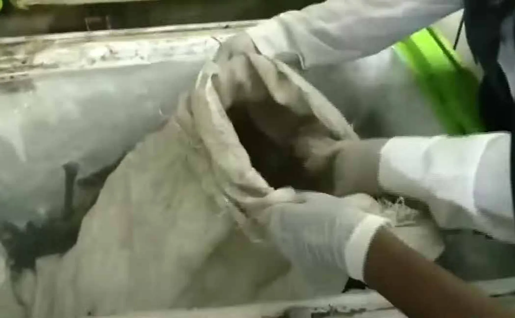 Food Safety Department action for Selling spoiled mutton legs