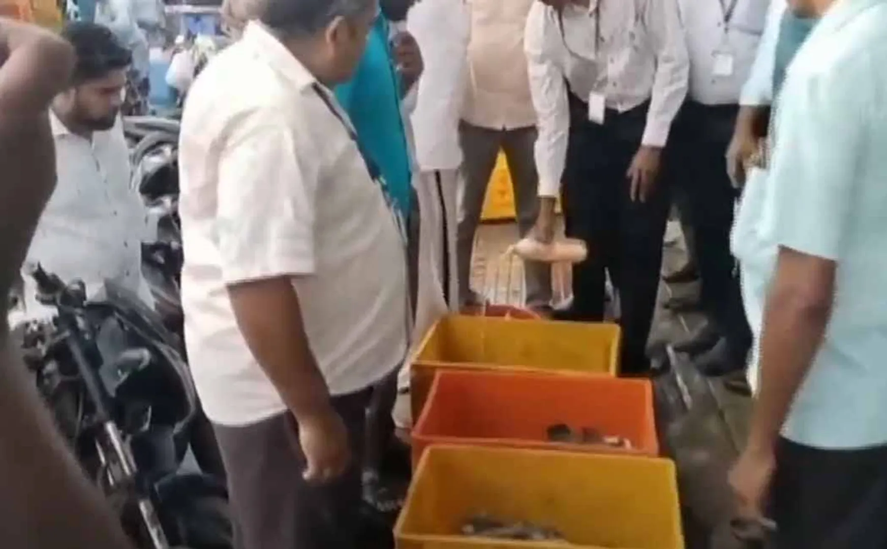 officials take action for Poor fish confiscation