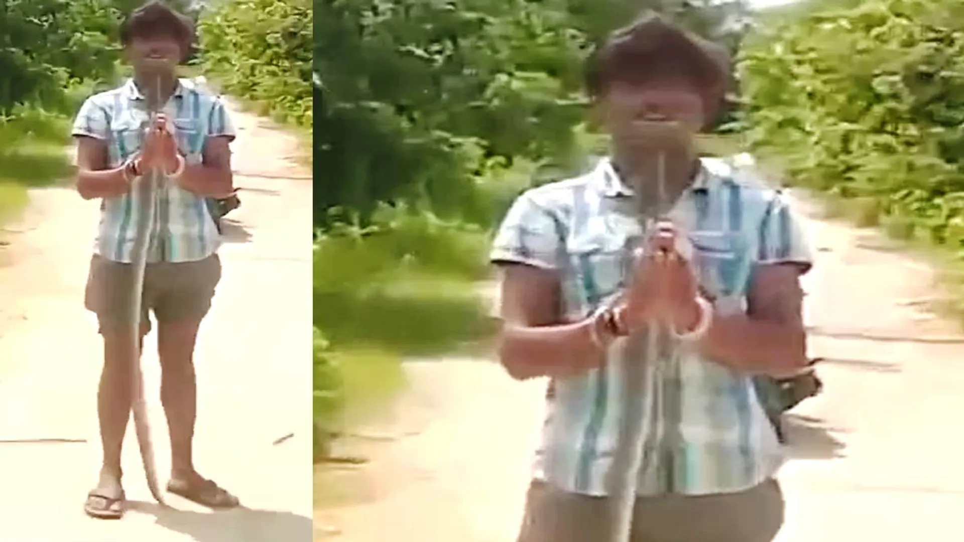 Snake-mouthed youth-life-snapping reels craze!