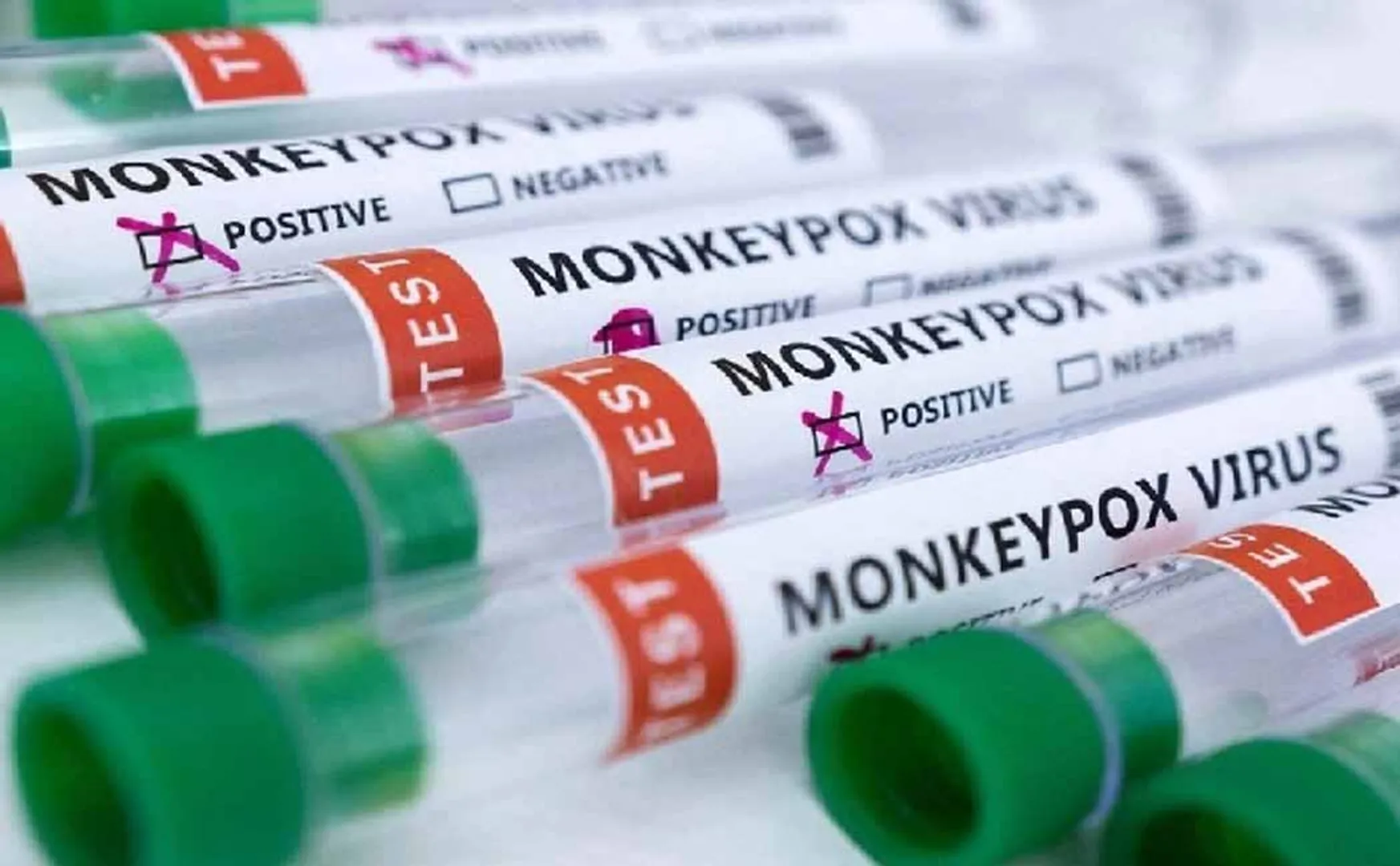 Central Ministry of Health Explanation for Symptoms of monkeypox in India