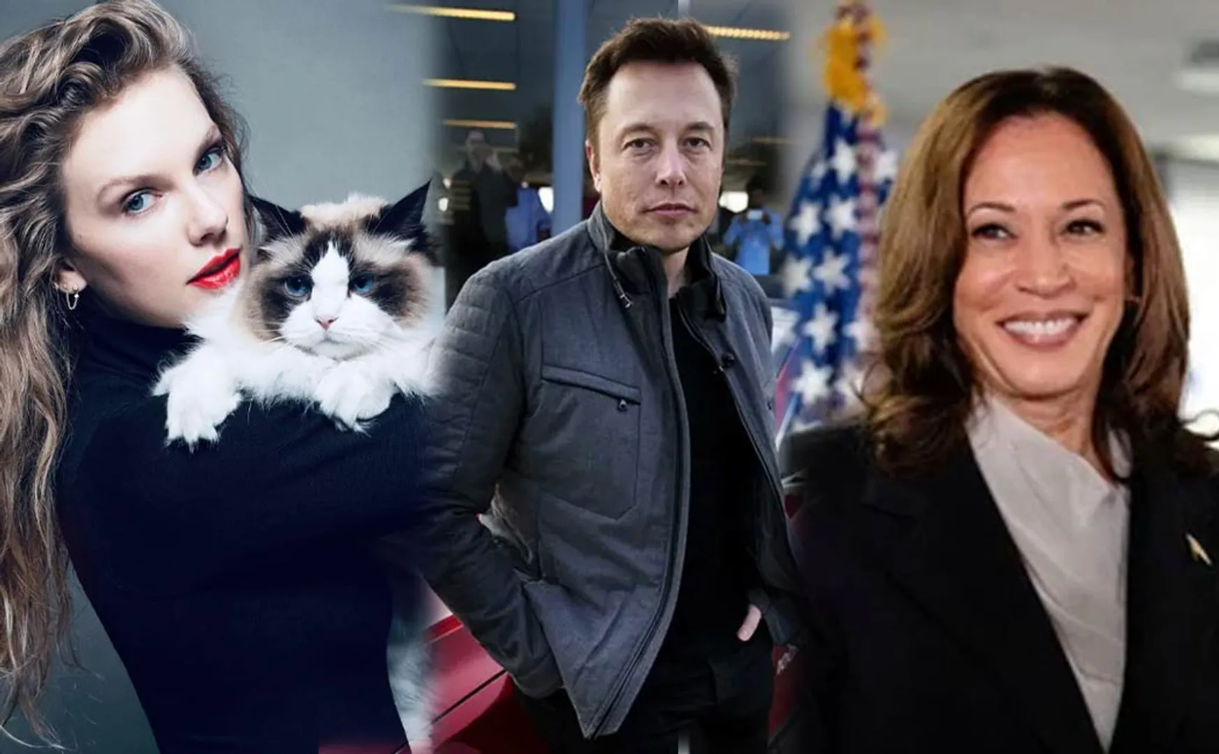 Elon Musk comments against Cat Lady and Taylor Swift