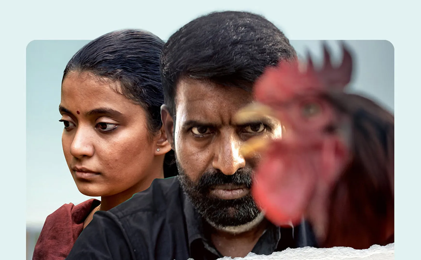 Kottukkaali ott update
