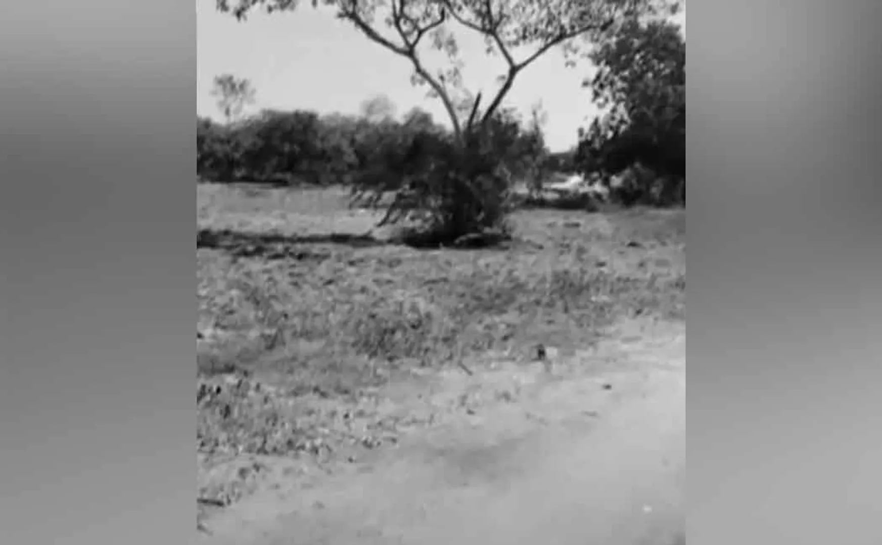 Virudhunagar dt sathur near guganparai factory incident 