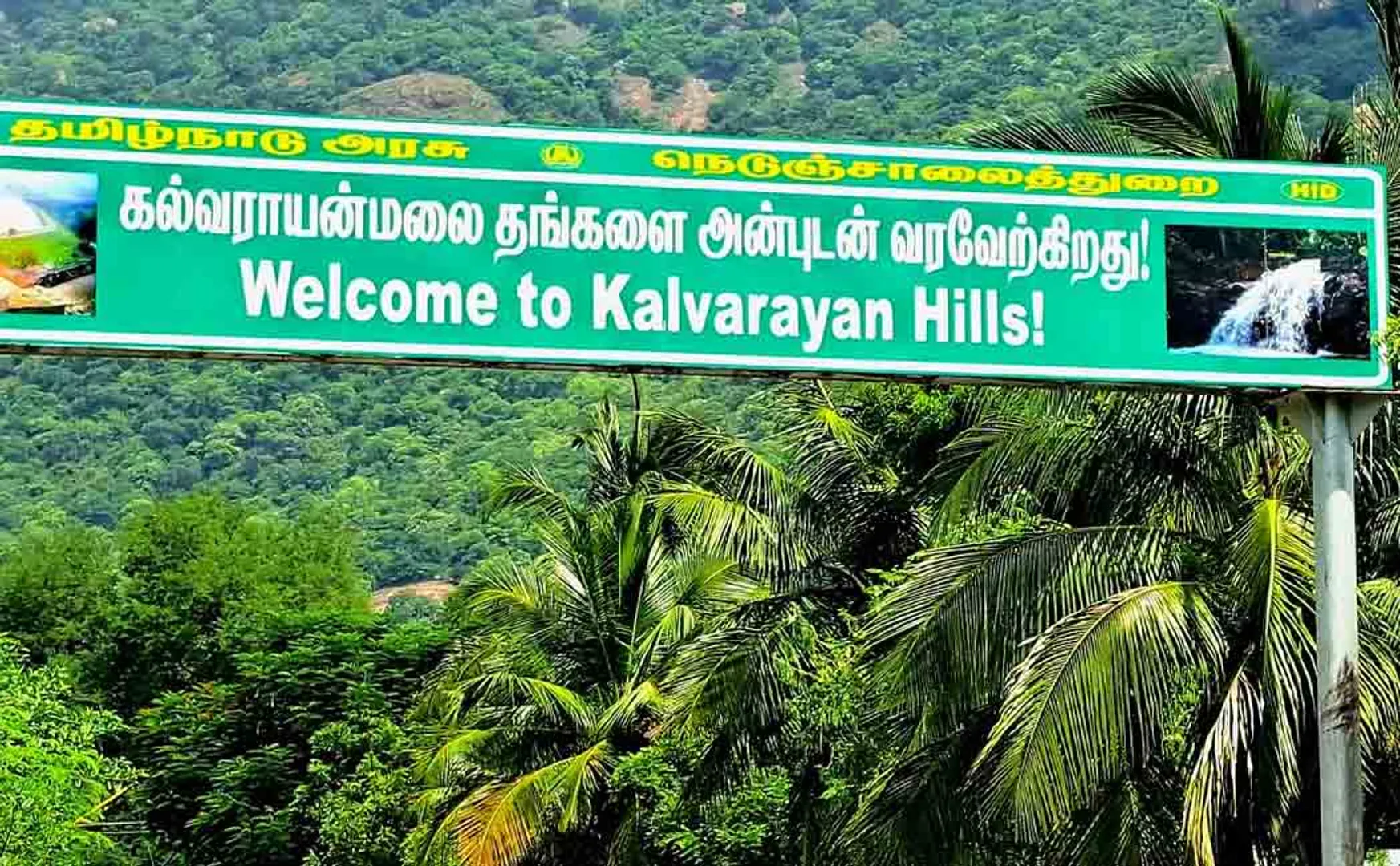 Kalvarayan is a resurgence of illicit liquor on the hill