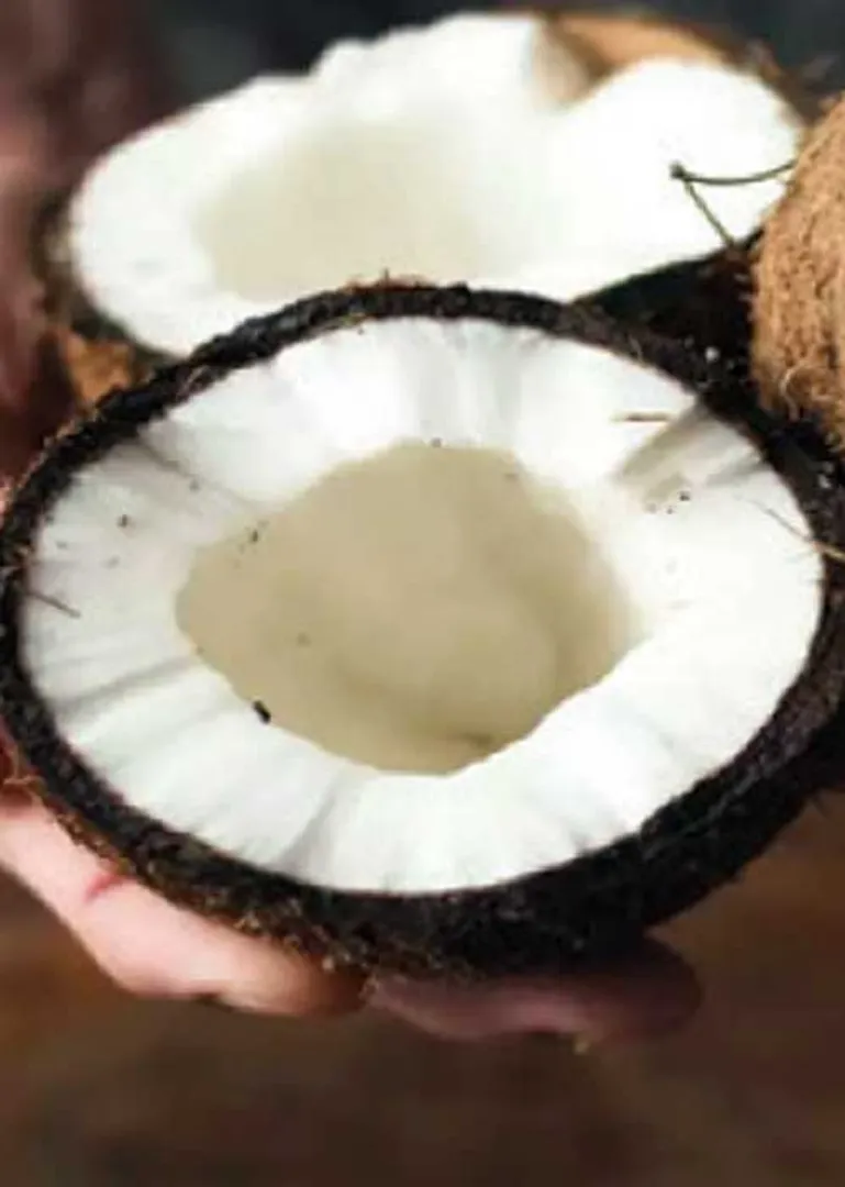 /idhalgal/balajothidam/benefits-broken-coconut-manimozhi-sabhatarishi-nadi-astrologer