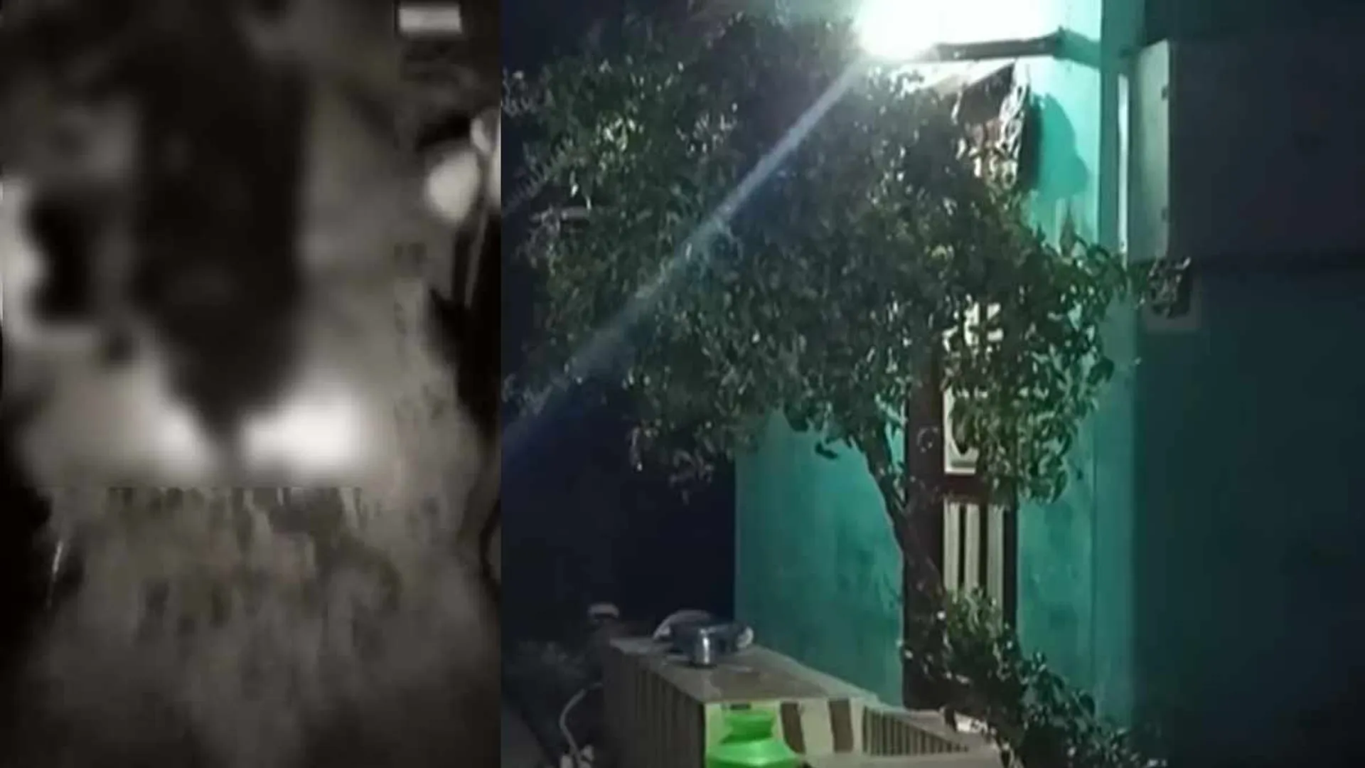 7-year-old boy hacked after breaking into house; shocking incident in Madurai