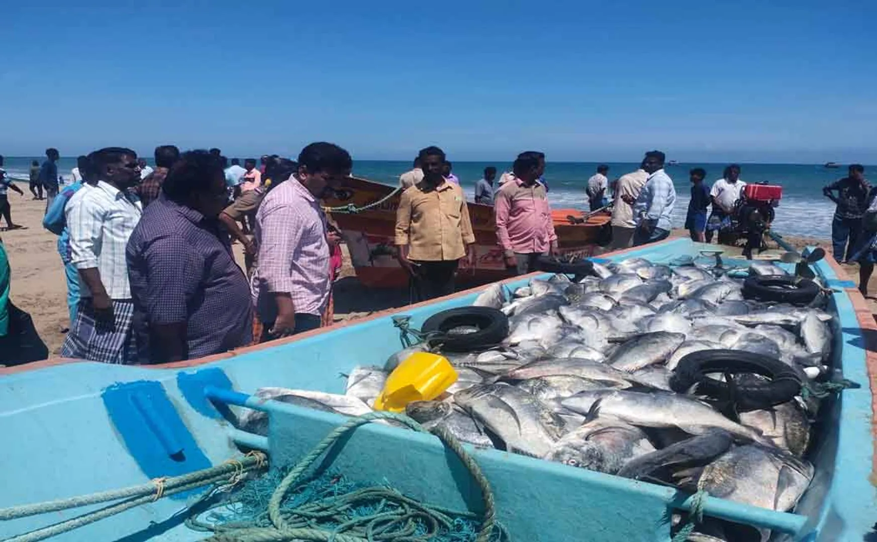 Fisheries officials in action for 1.5 tonnes of fish confiscated 