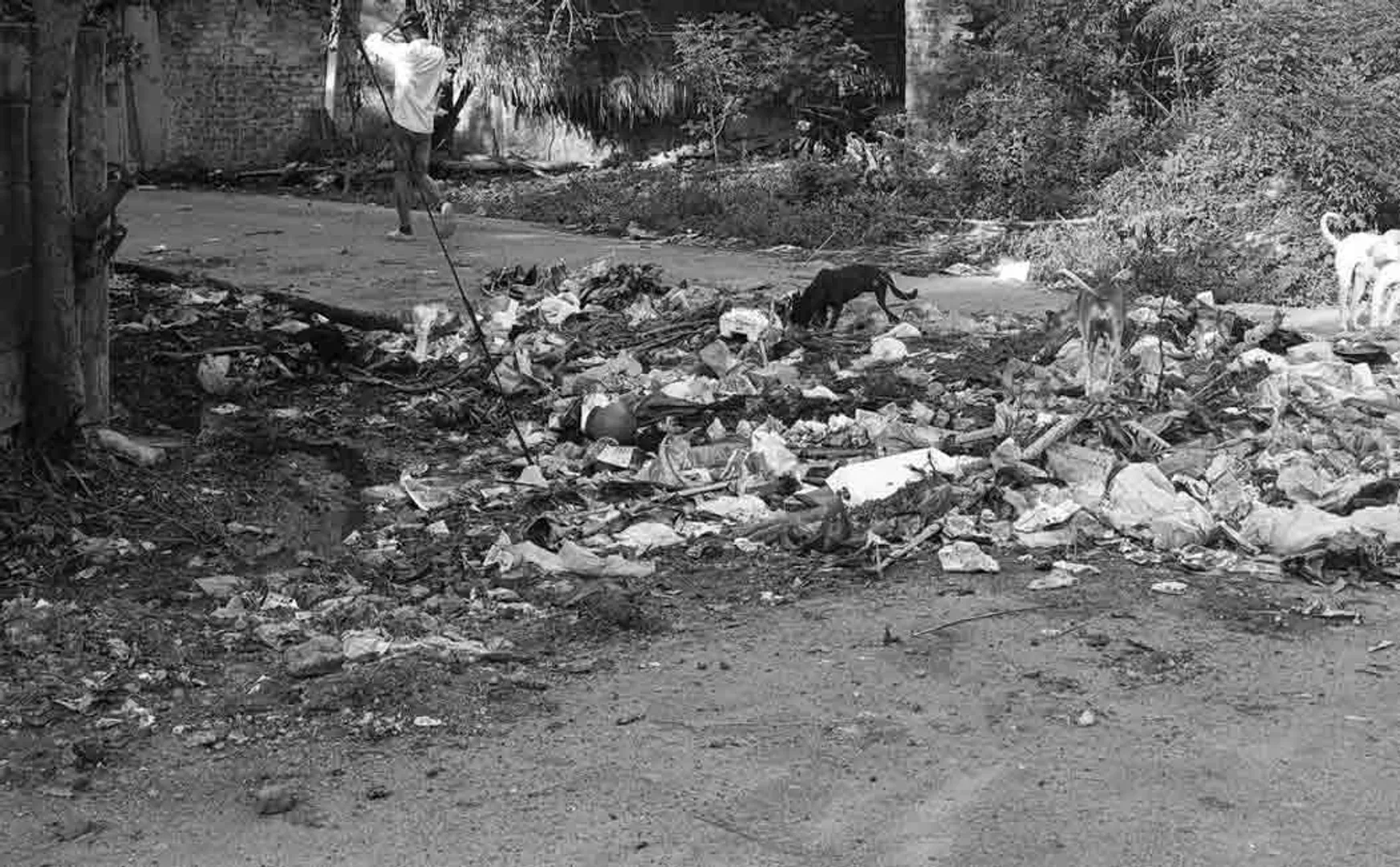 Public suffering for Stagnation of sewage in residential area