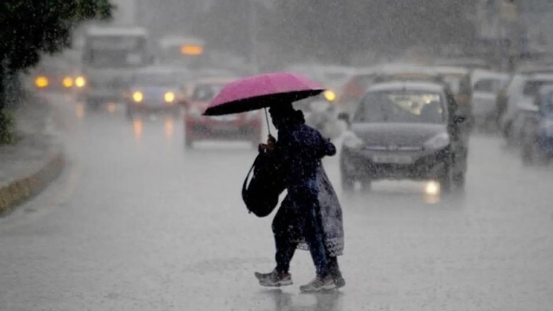 Heavy rain echoes; Holidays for schools and colleges in 4 districts