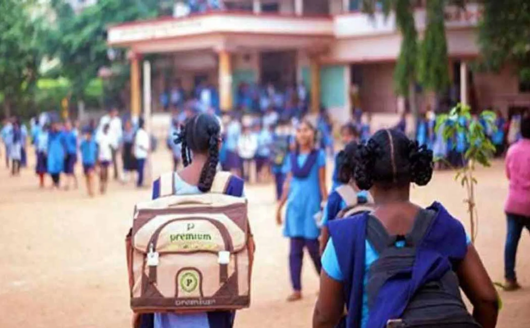 Collectors announcement Schools and colleges will function as usual