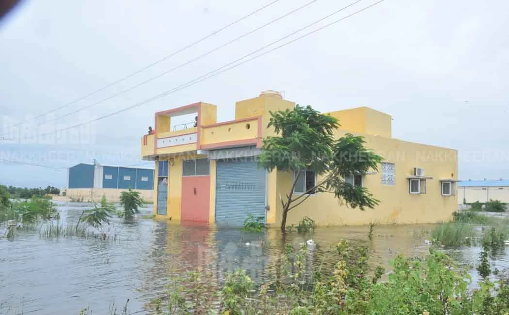 Heavy rain in Chennai Rainwater surrounding the residences (pictures)