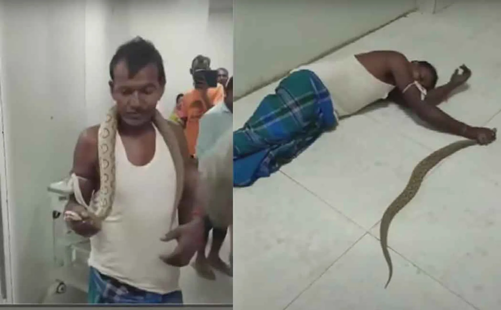  The man who came to the hospital carrying a snake on his shoulder in bihar