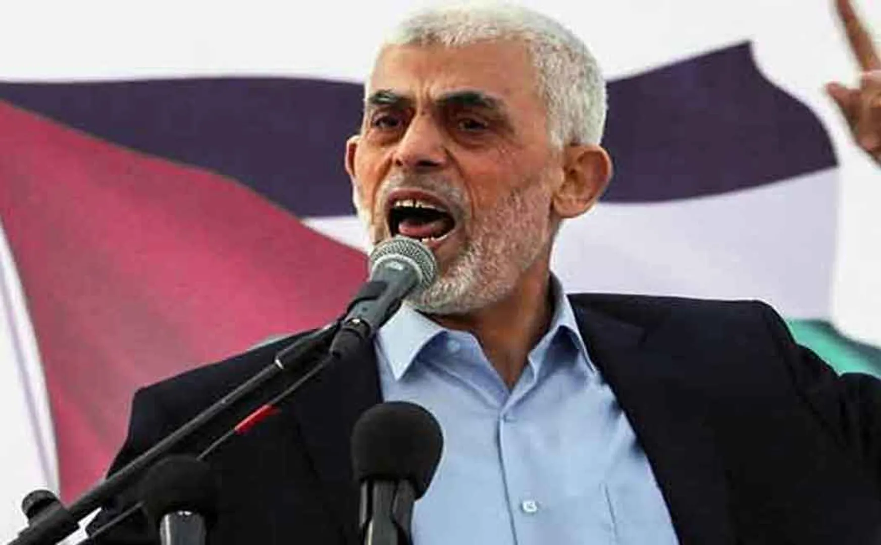 yahya sinwar related news