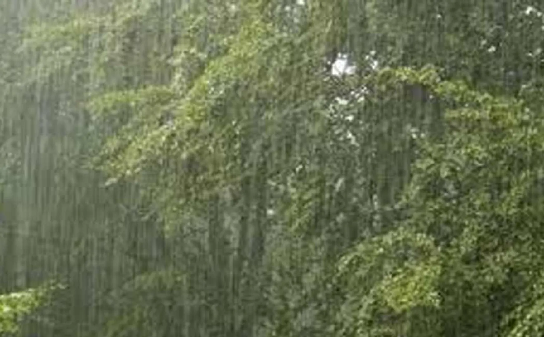 Widespread rainfall in Erode district