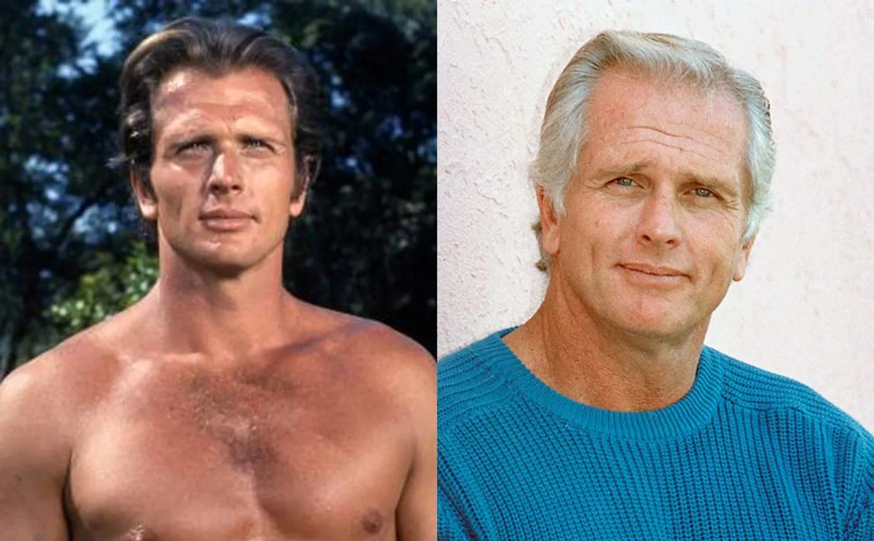 tarzan actor ron ely passed away