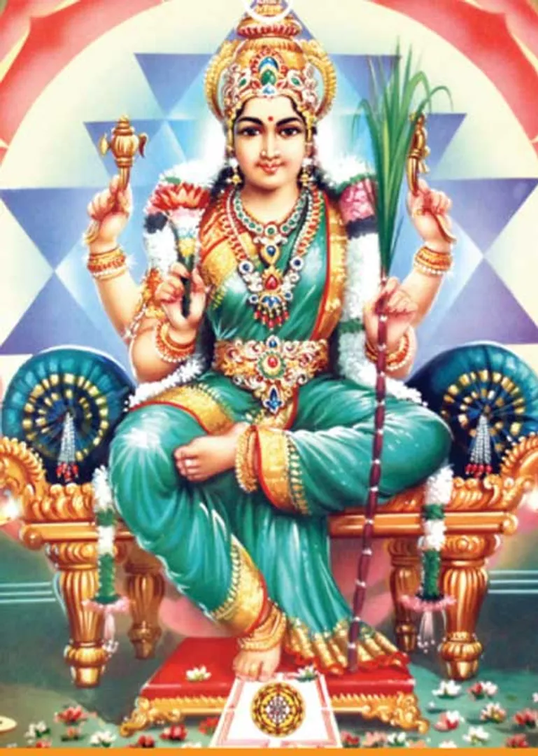 /idhalgal/balajothidam/she-came-street-living-without-fate-chithardasan-sunderji-jeevanadi