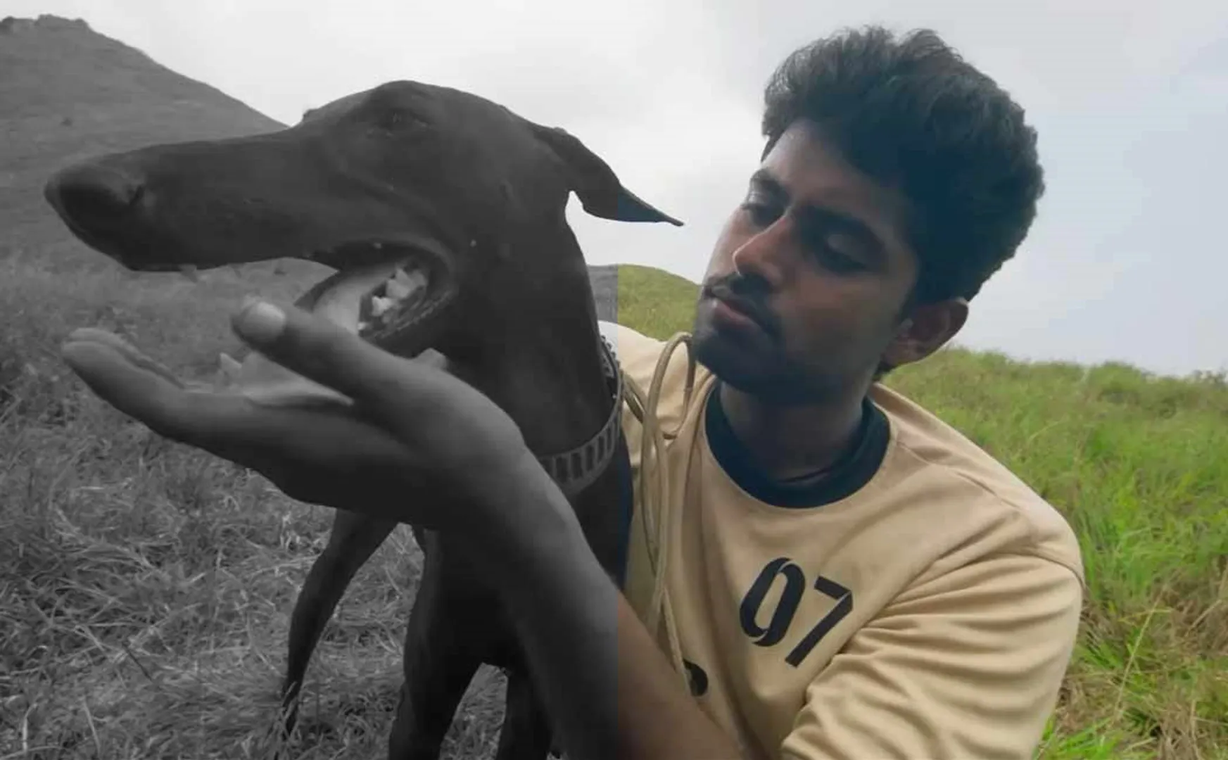 pariyerum perumal movie dog passed away