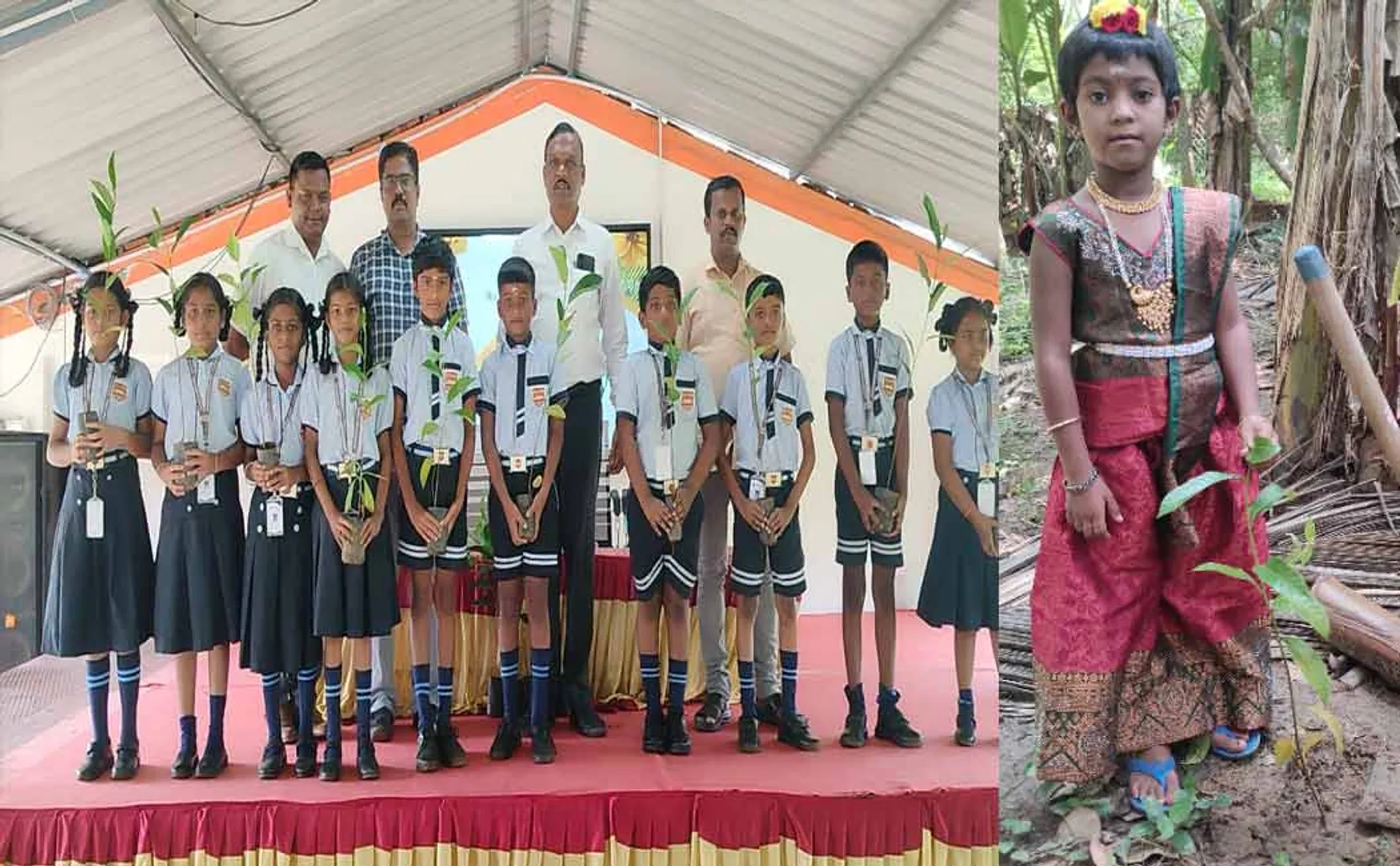 'Let's celebrate Green Diwali without pollution'-School distributed 2000 saplings to students