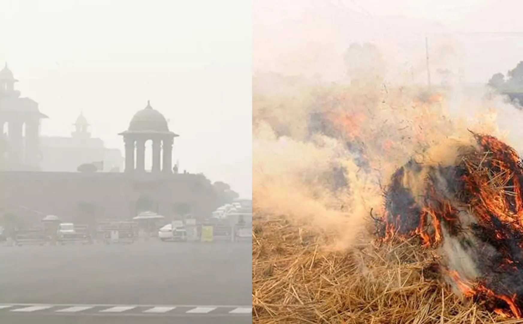Central government order to Fines for Delhi farmers who burn stubble
