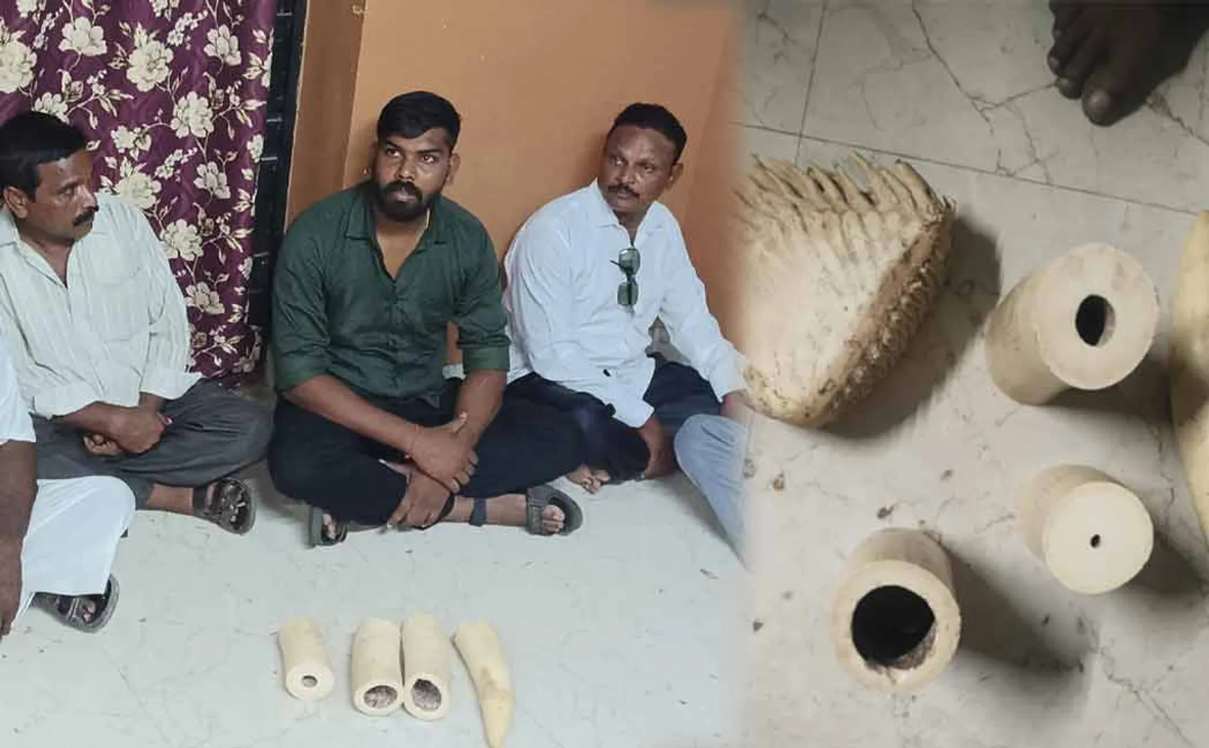 Trying to sell elephant ivory, nine people including BJP youth district secretary
