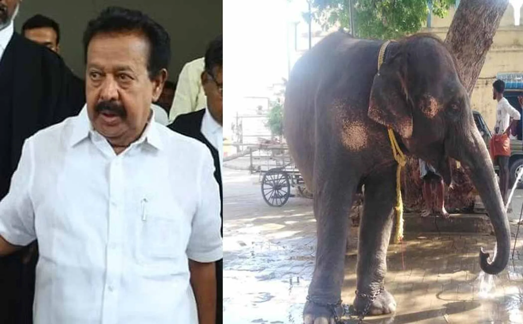  'They kept it without forest department permission'- Minister Ponmudi alleges