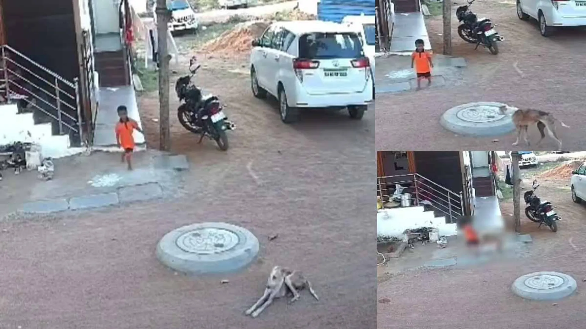 A boy who came out to play with desire; Stray dog ​​bitten