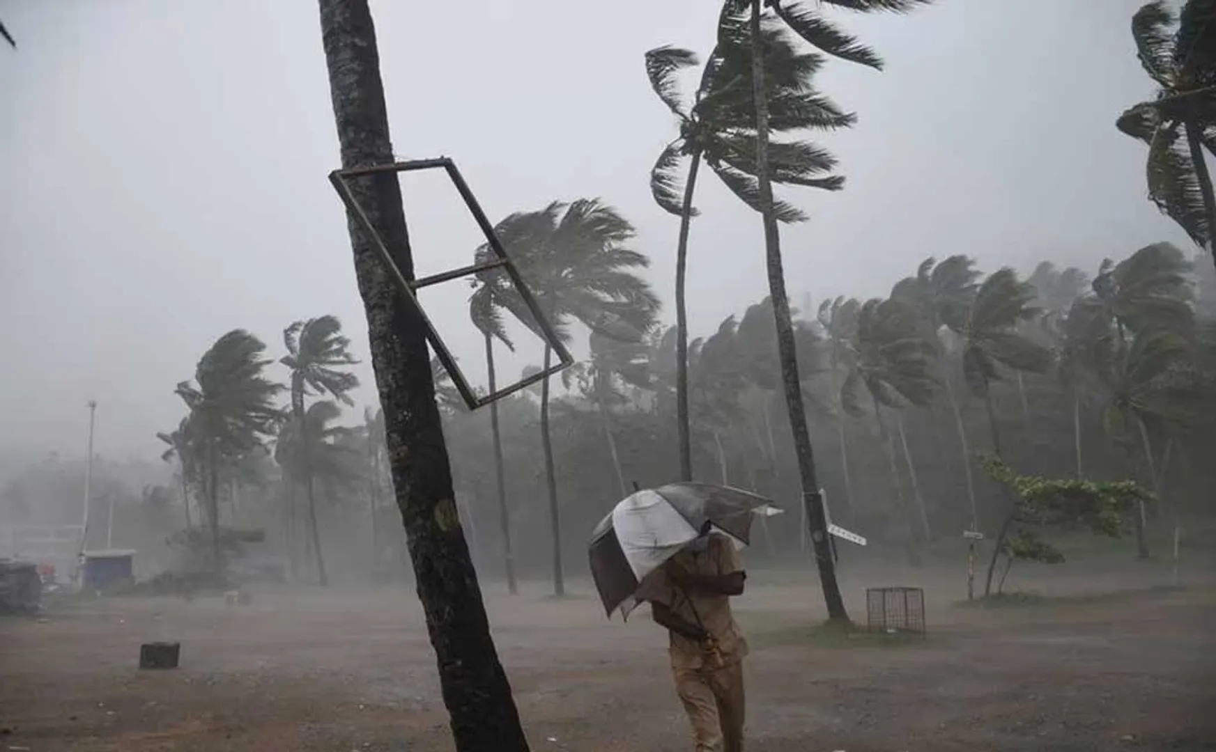 Storm echoes; Notification related to school and college holidays