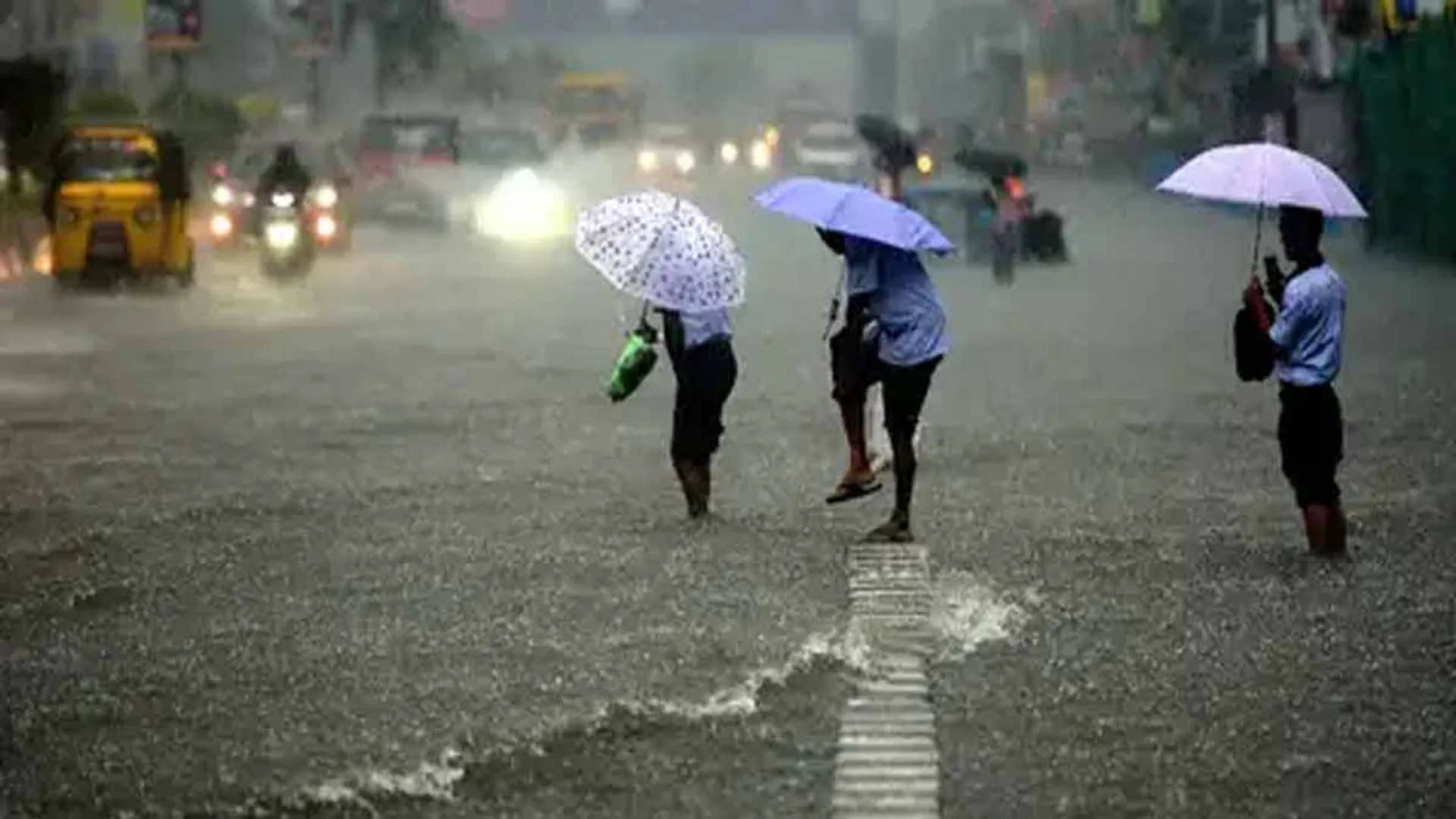 Heavy rain echoes; Holiday in which districts?; Public announcement