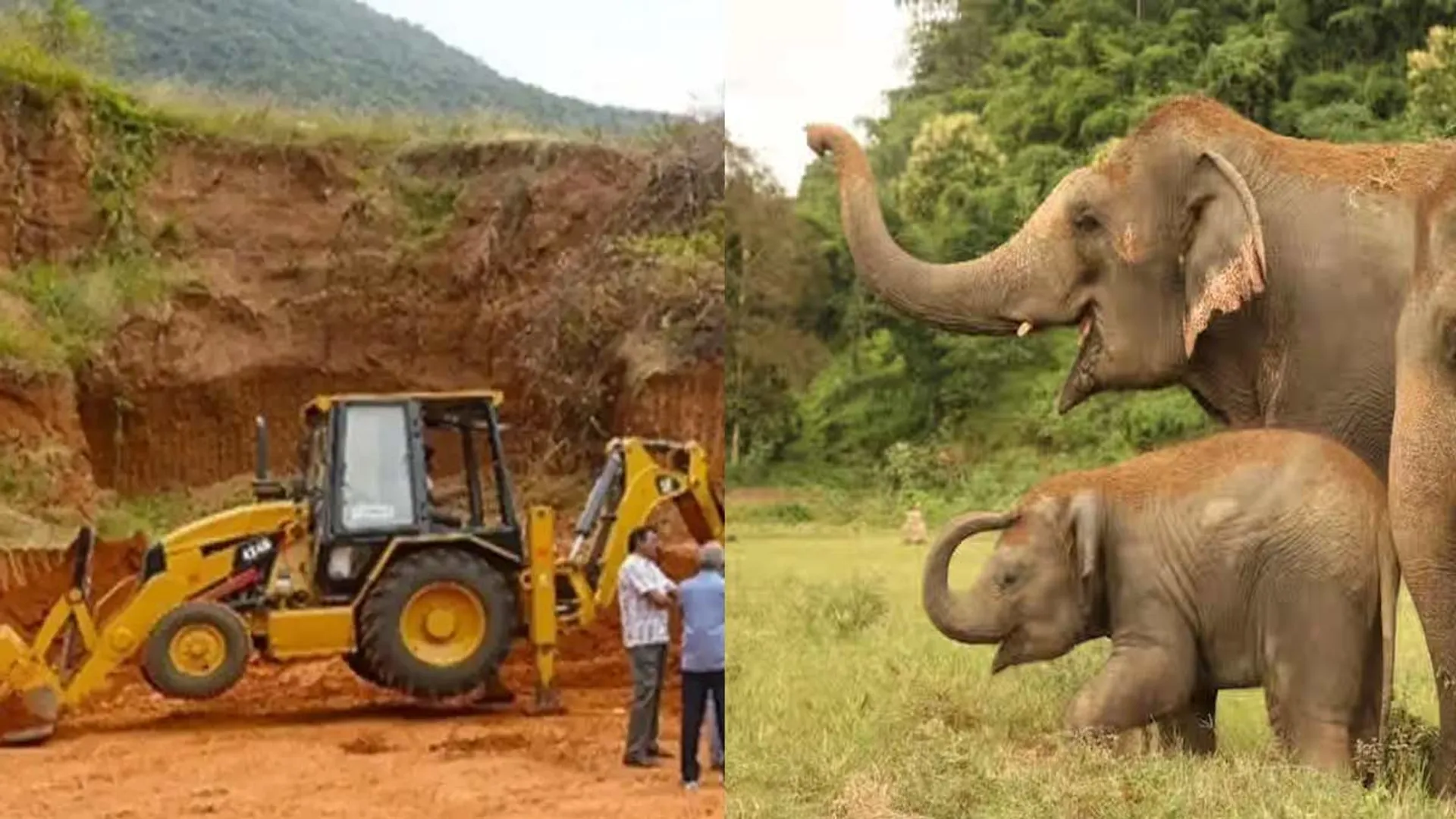 'Great mountains are disappearing; How can we believe this?'- the court pierced the Tamil Nadu government with the question
