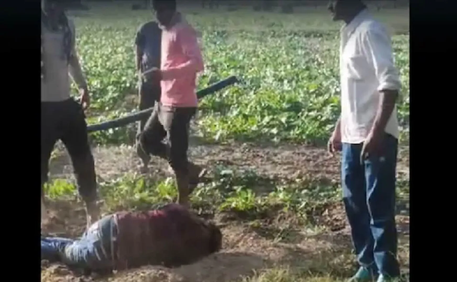 Incident happened to Scheduled caste youngster in madhya pradesh