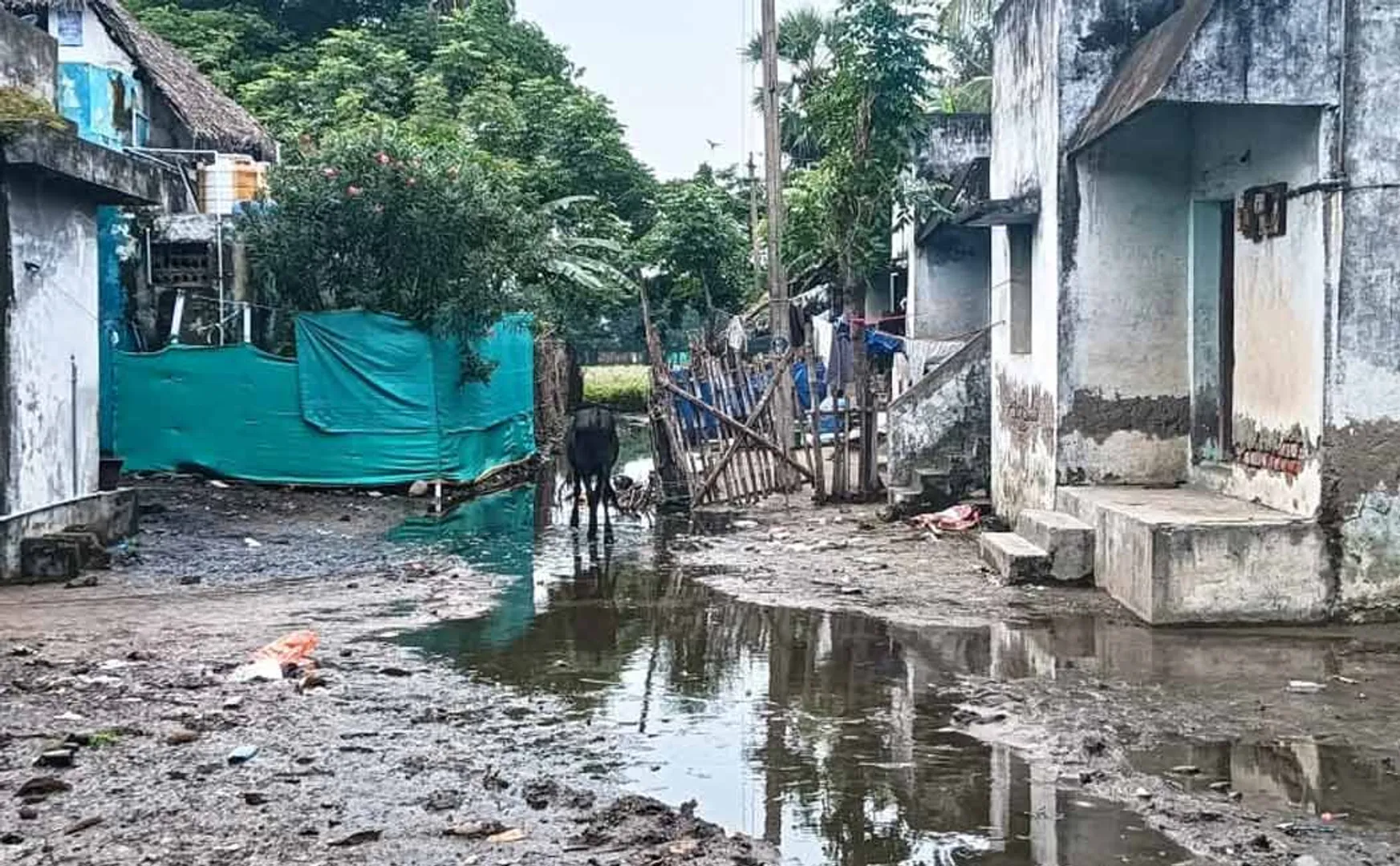  road in Killai is muddy due to continuous rain.
