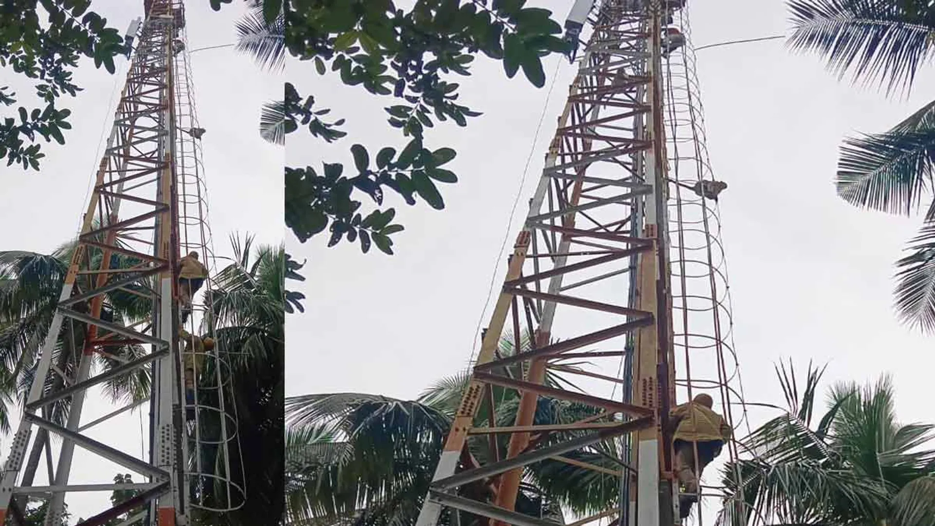 The servant sitting on top of the tower was afraid of the monkey