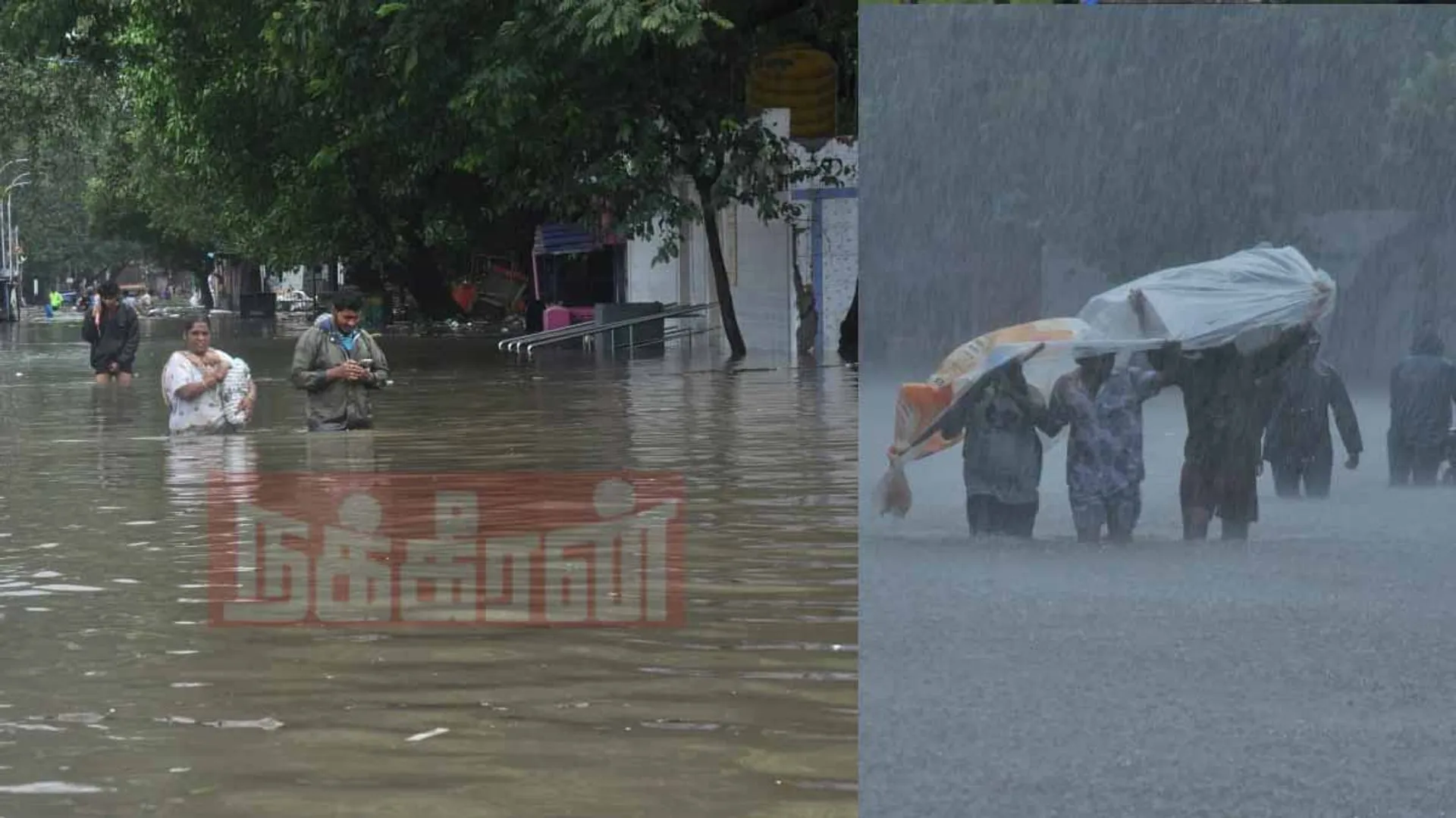 Rain in Chennai (Photos)