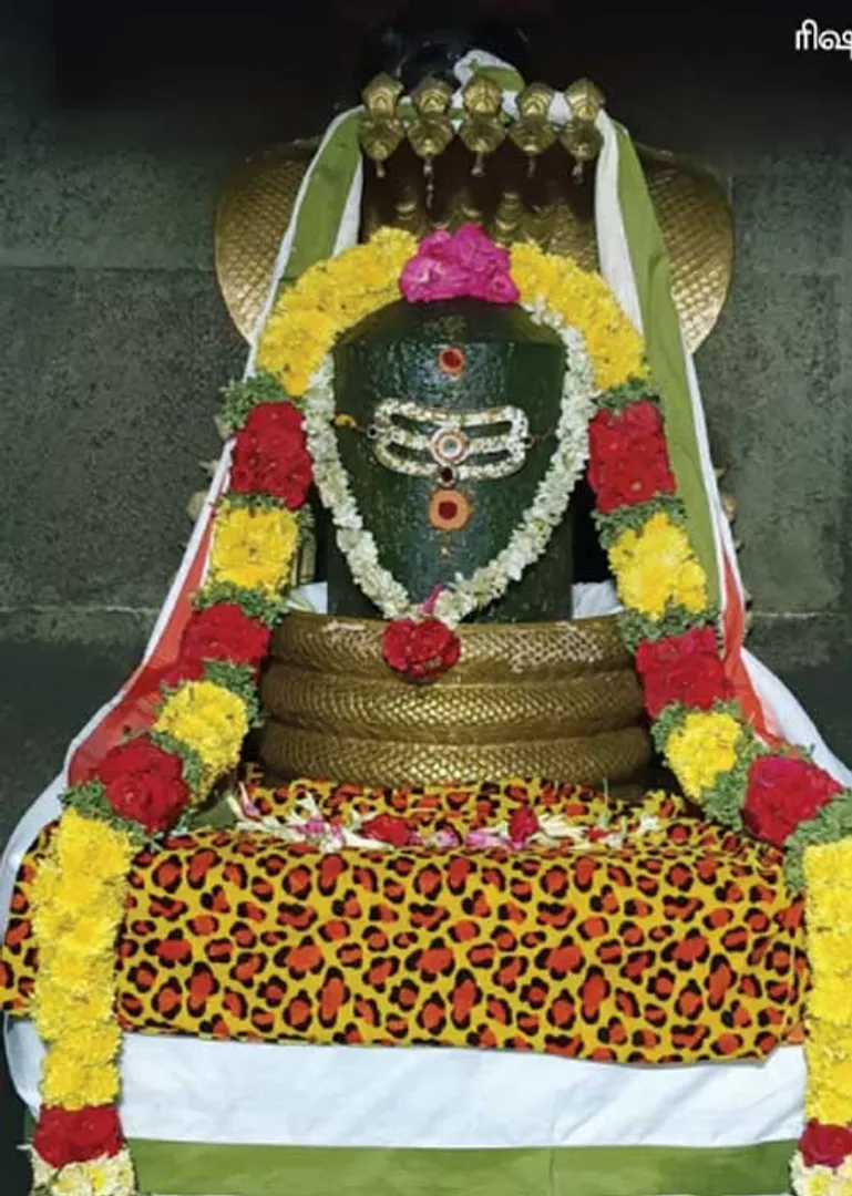 /idhalgal/om/miracle-blessed-paddy-fields-mo-ganesh