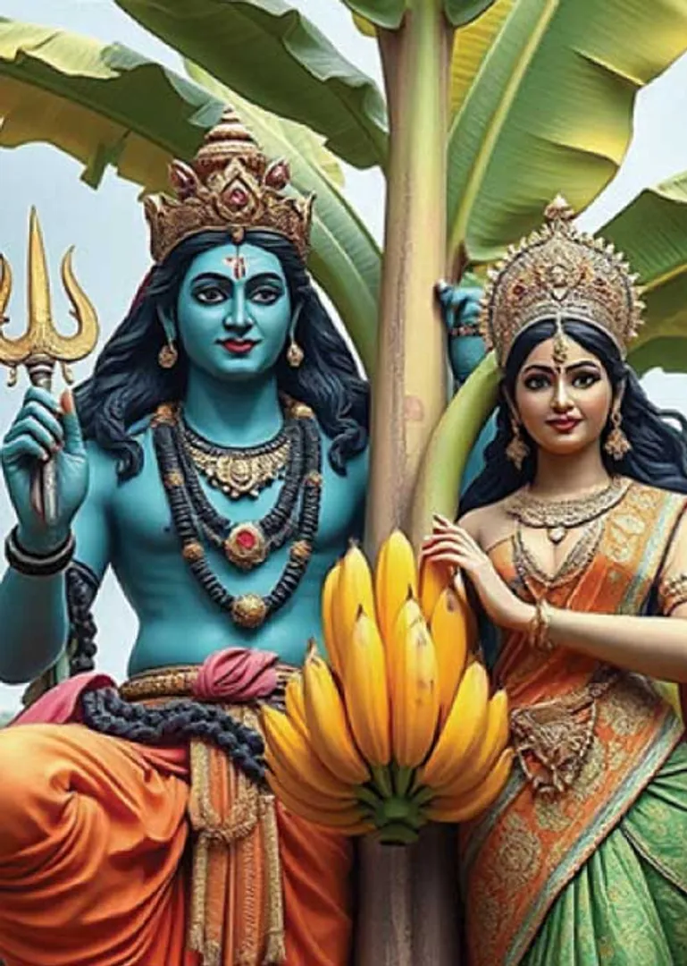/idhalgal/balajothidam/banana-tree-worship-remove-ban-marriage-tarot-mr-anandavel