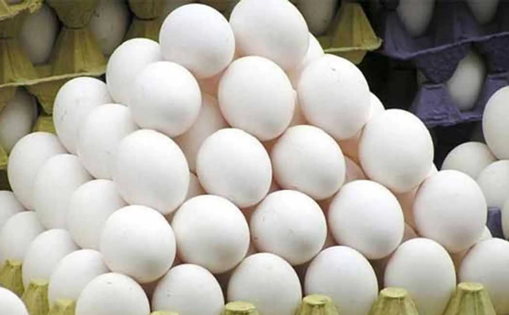 Egg prices have increased even during the fasting period